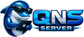 QNS Server